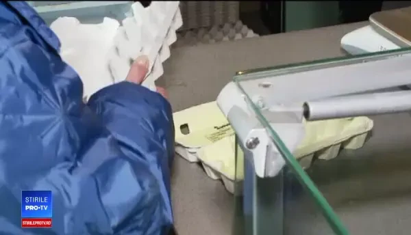 Afacerile universitare, tot mai profitabile și apreciate de către consumatori