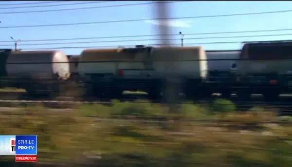 Ciobanii-benzinari: cum au devenit oierii, după 1990, importanți oameni de afaceri