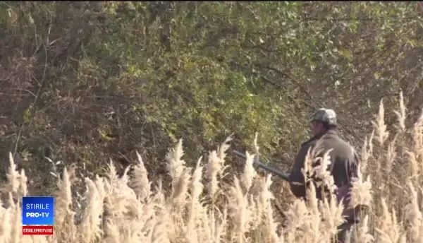 Comună din Dâmbovița, speriată de un urs. Dintr-o lovitură te face