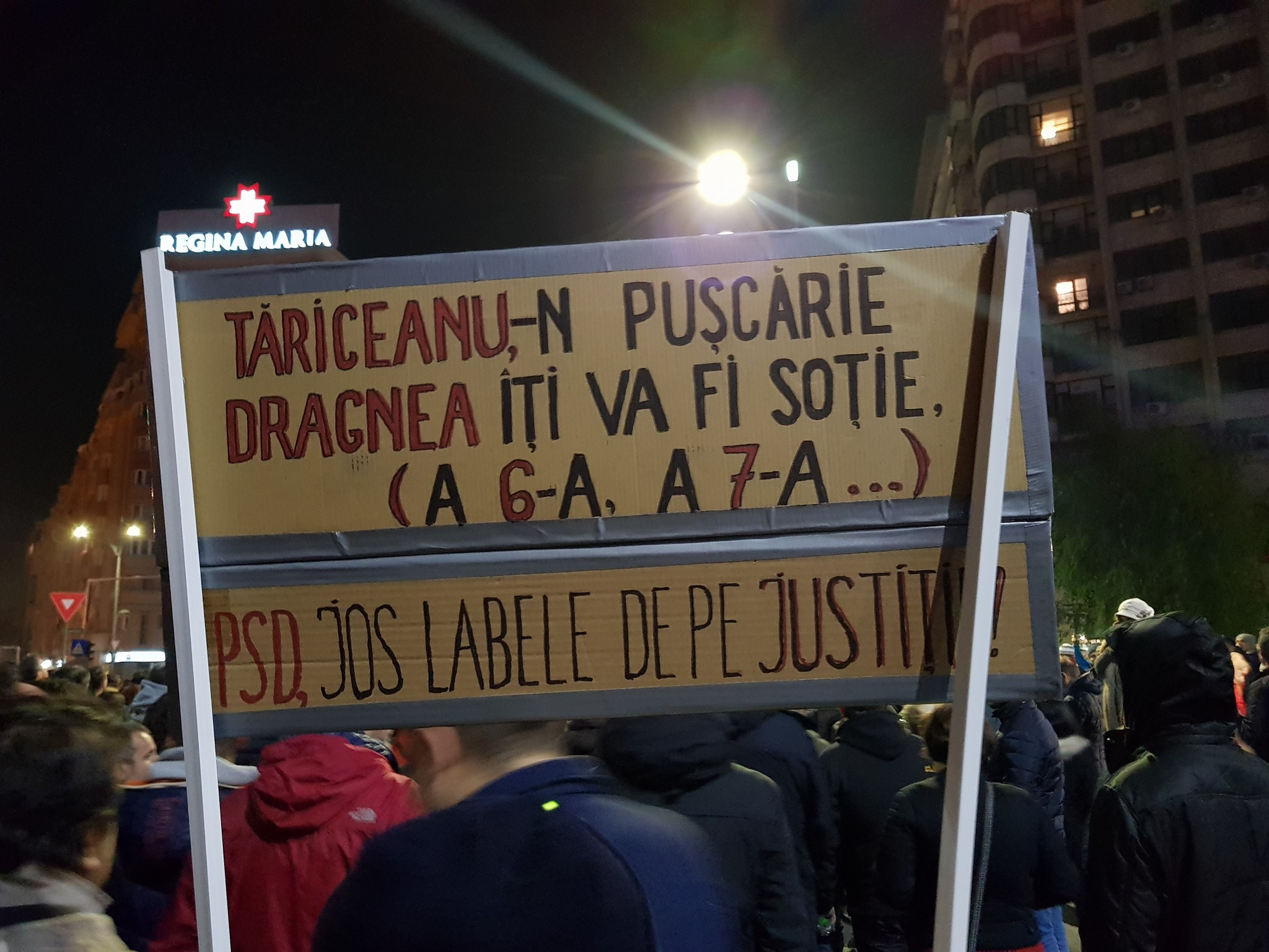 Cele mai inspirate mesaje de la protestele de duminică