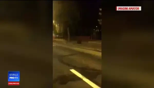 O ursoaică cu 3 pui a apărut într-o zonă de supermarketuri din Braşov. Martorii au sunat la 112