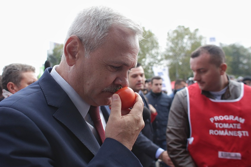 Liviu Dragnea cu o rosie in mana