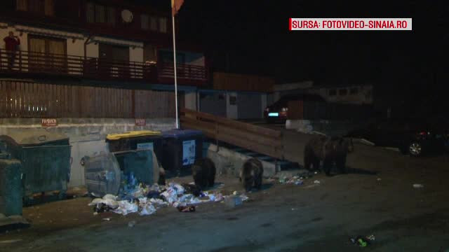 Zece mistreţi, în centrul oraşului Sinaia. Doar jandarmii i-au putut alunga