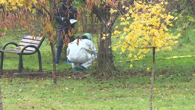 Trupul unui bărbat desfigurat, descoperit într-un parc din Oradea. Ipoteza anchetatorilor