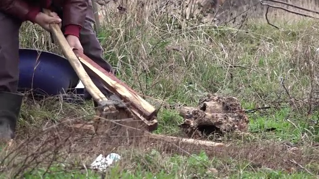Pădurar din Reghin, bătut și abandonat în pădure de hoții de lemne