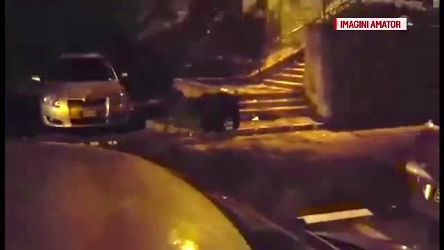 Un urs a forțat ușa Cabanei Postăvaru și a furat o pungă de zahăr și o cutie cu bomboane