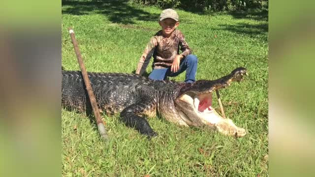 Un copil de 8 ani a capturat un aligator de 3 metri și jumătate