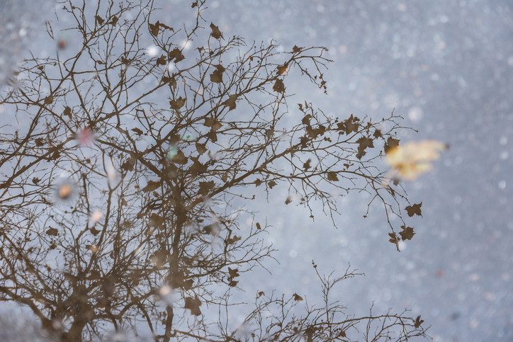 Vremea începe să se răcească în toată ţara, temperaturile scad sub 10 grade