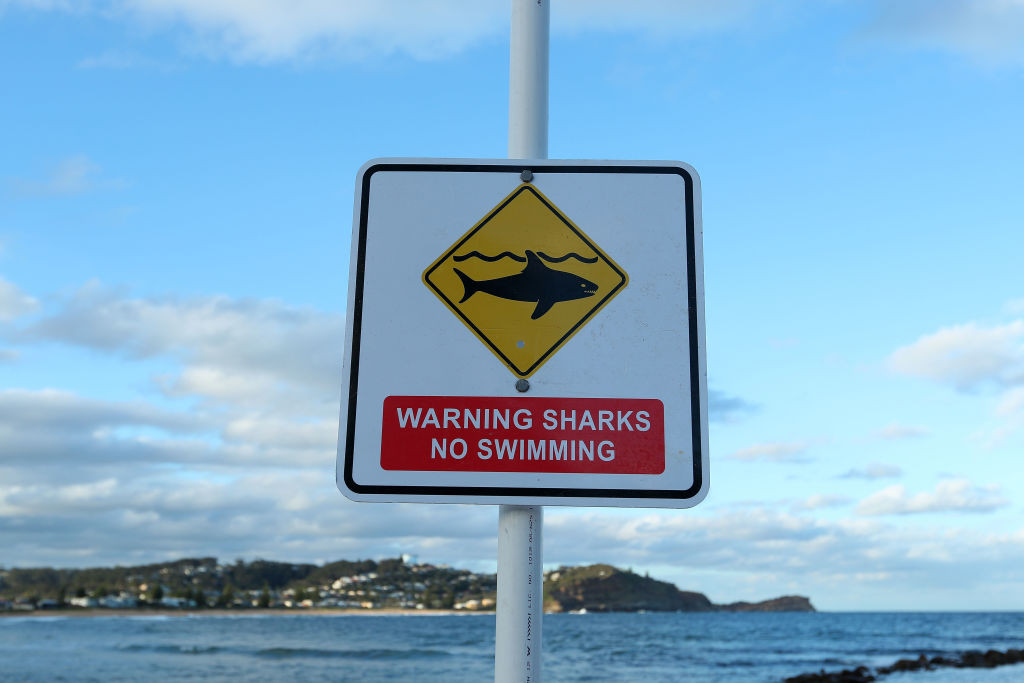 Un surfer amator a bătut rechinul care a încercat să-l muşte. "Am dat tare"