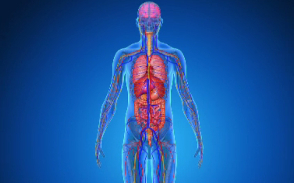 Hemoroizii, cauze și tratament. Când este necesară o vizită la medic