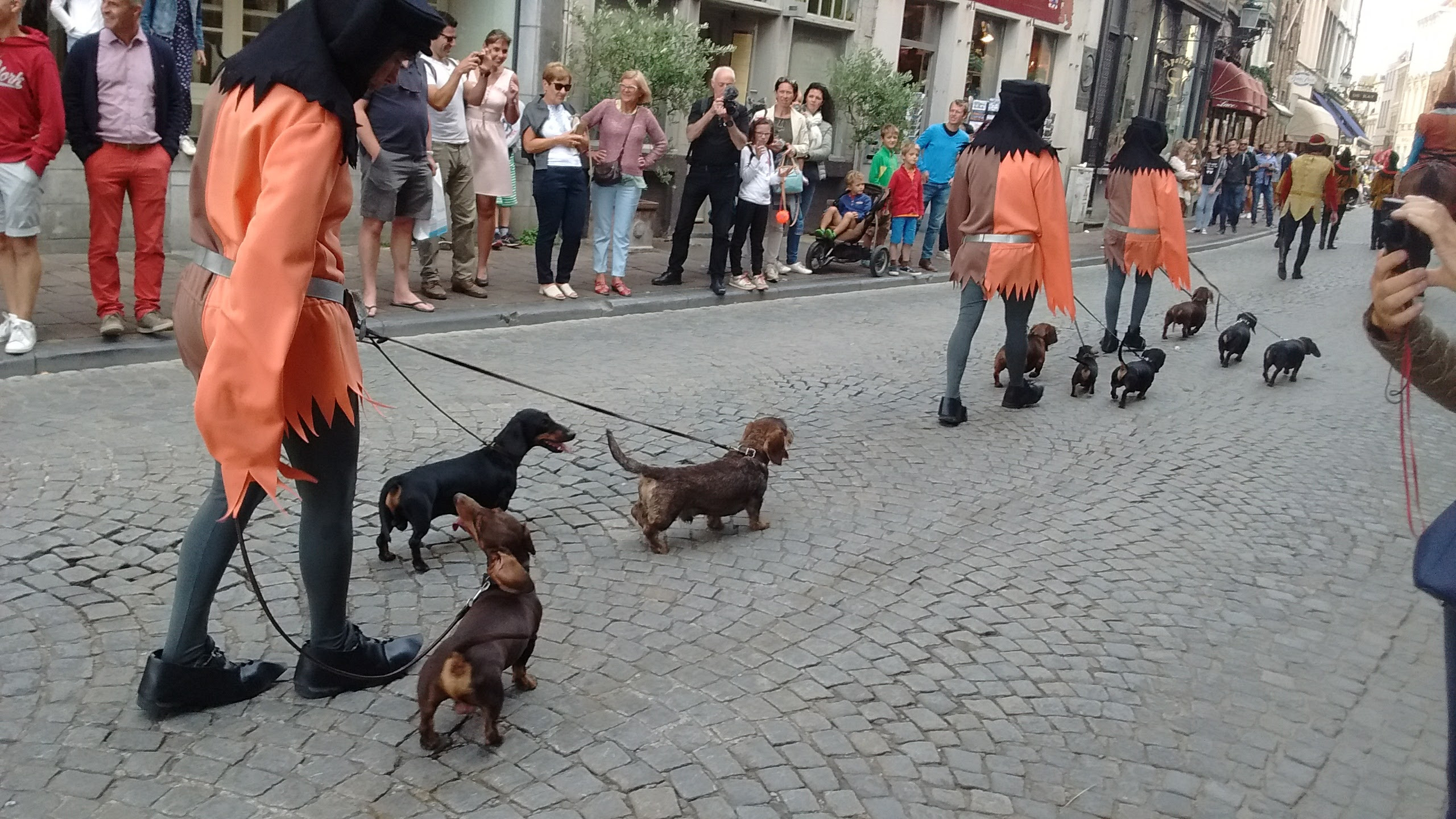 Studiu: stăpânii de câini sunt mult mai sănătoşi decât cei care nu au animale