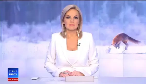 Vulpi, filmate în apropierea gospodăriilor din Brașov