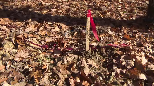 Scandal în Gorj intre câţiva sateni şi o firmă care face prospecţiuni. Care sunt nemulţumirile