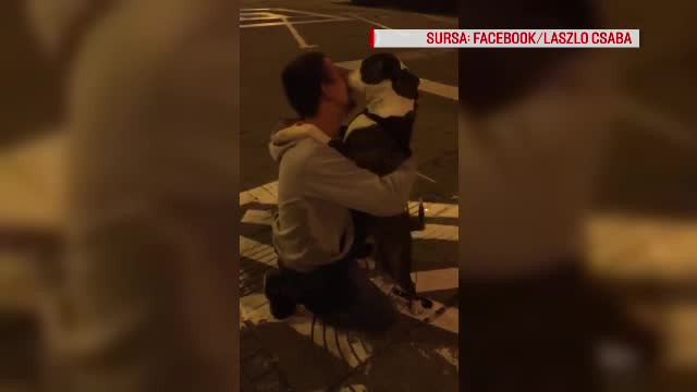 Revederea emoționantă dintre un român și cătelul lui. ”O iubește pe Bela mai mult decât pe mine”