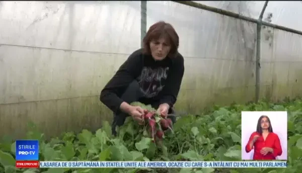 Satul din Alba unde jumătate dintre locuitori şi-au făcut solarii. Cât câştigă lunar