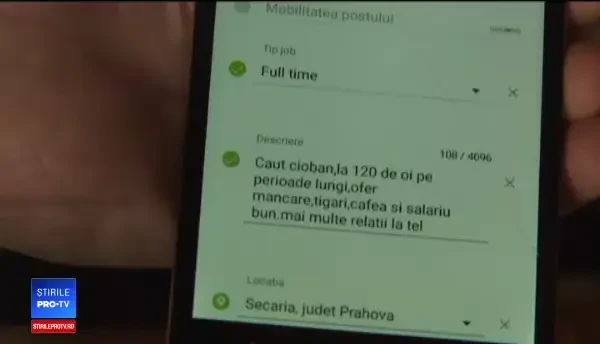 Proprietarii de stâni, disperați că nu găsesc ciobani: Acum vor și Facebook la oi