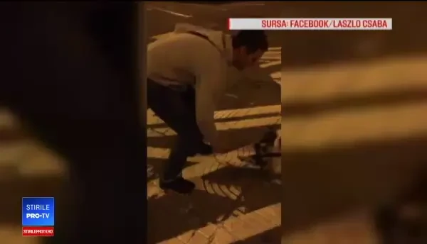 Revederea emoționantă dintre un român și cătelul lui. O iubește pe Bela mai mult decât pe mine