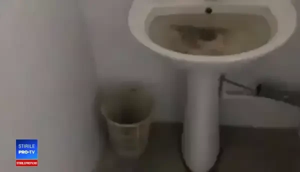 Înregistrare cu toaleta spitalului din Calafat, trimisă de un utilizator