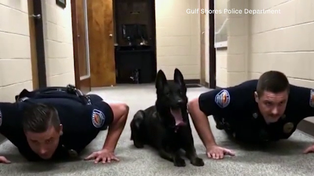 Imaginile care au devenit virale: Un câine face flotări cu doi polițiști