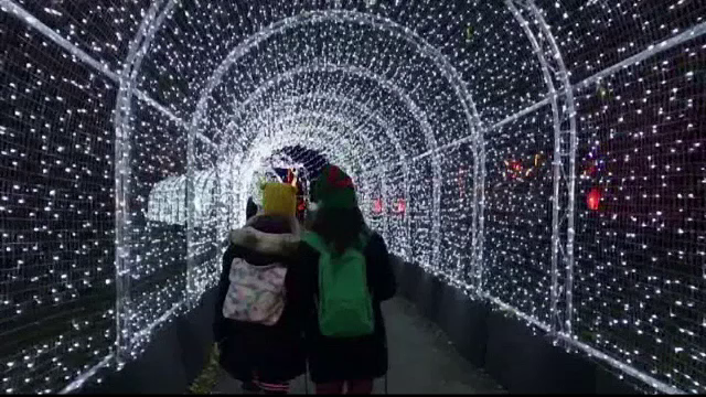 O grădină botanică din Londra, luminată de un milion de beculețe în perioada sărbătorilor