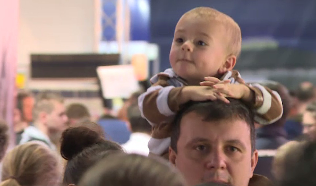 Târgul de Carte ”Gaudeamus”. Cărțile autorilor români, cele mai bine vândute și la această ediție