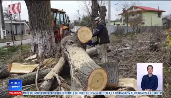Costel şi Vasile primeau fără a munci 600 de lei/lunar. Decizia lor când au aflat că venitul dispare dacă nu lucrează