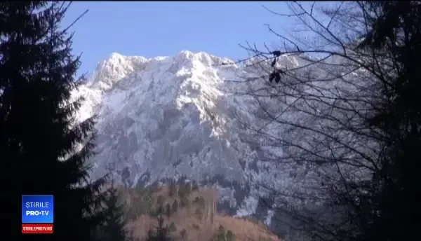 Soluțiile propuse de ONG-uri pentru a ține departe urșii de orașe, fără să fie uciși