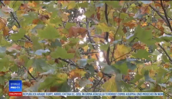 Horoscop 26 noiembrie 2017. Vărsătorii iau decizii importante în viața de cuplu