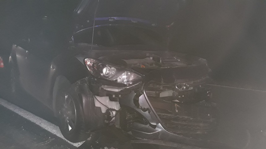 O şoferiţă a intrat în plin într-o turmă de oi, pe DN6