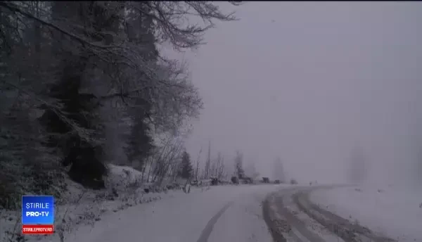 Cod portocaliu de ninsori în 7 județe. Val de zăpezi anunțat de meteorologi