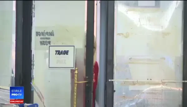 Elena Udrea i-a luat apărarea lui Liviu Dragnea, în fața judecătorilor