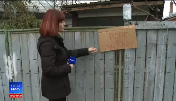 Porcul de Crăciun poate ajunge ”singur” la ușa clienților. Fermele acceptă comenzi online