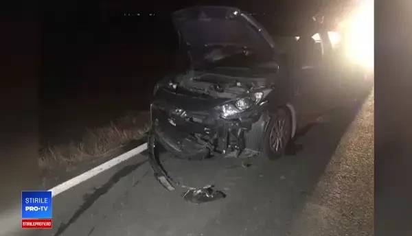 O şoferiţă a intrat în plin într-o turmă de oi, pe DN6