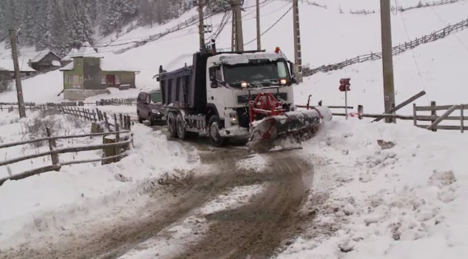 Iarna și-a intrat în drepturi în centrul țării. Mai mulți copaci doborâți de greutatea zăpezii