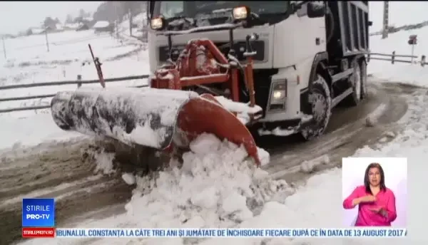 Iarna și-a intrat în drepturi în centrul țării. Mai mulți copaci doborâți de greutatea zăpezii