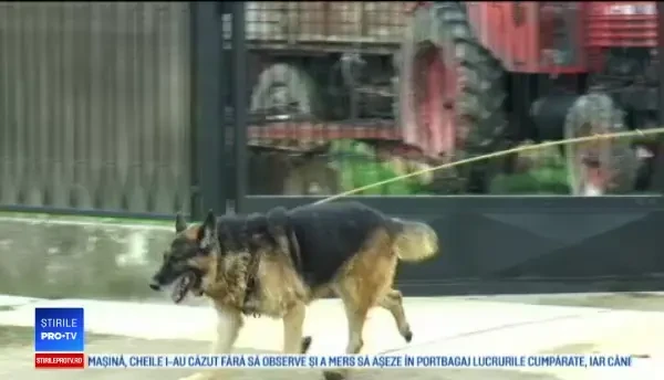 Bărbatul care și-ar fi ucis părinții și bunica, prins cu ajutorul unui câine polițist. Cine este Răzvan Rentea