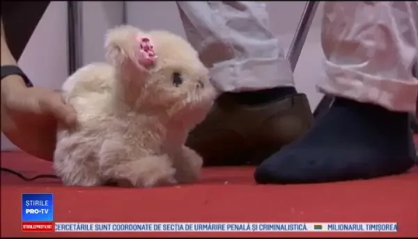 Roboţi gândiţi să le poarte de grijă bătrânilor, ”vedetele” târgului de la Tokyo