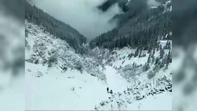 Alpinist surprins de avalanșă în Munții Bucegi. ”Șansele de supraviețuire sunt minime”