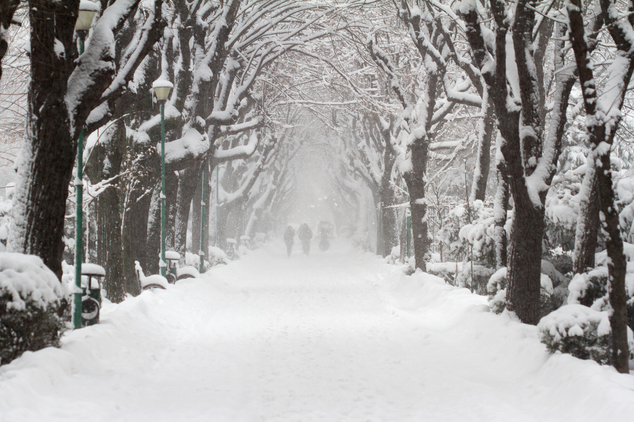 Cum va fi vremea de Crăciun. Ninsori și intensificări ale vântului în perioada următoare