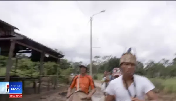 Ar putea duce o viață fără griji, dar se luptă să salveze pădurile României și jungla amazoniană