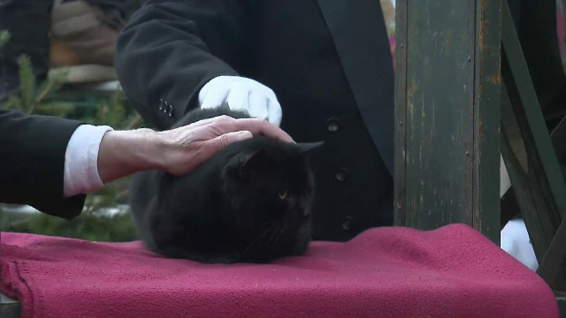 Într-un oraș german, o pisică încearcă să indice cât de aspră va fi iarna