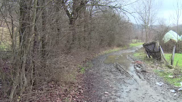 Bărbat dispărut de peste o lună, găsit în pădure cu corpul sfâșiat de animale