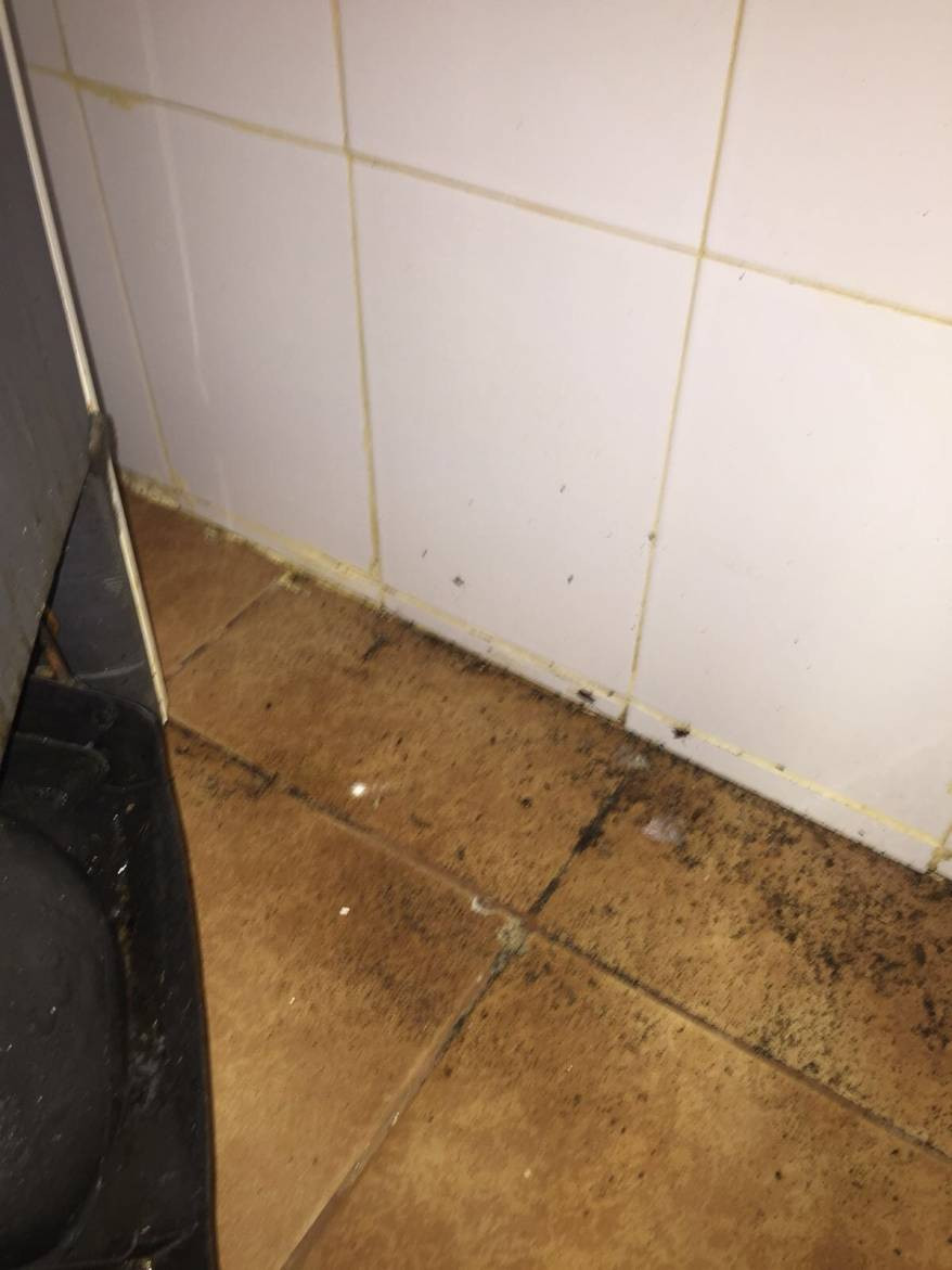 patiserie Constanța