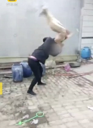 Un câine a fost ucis cu sălbăticie de propriul stăpân, nervos că a pierdut o cursă