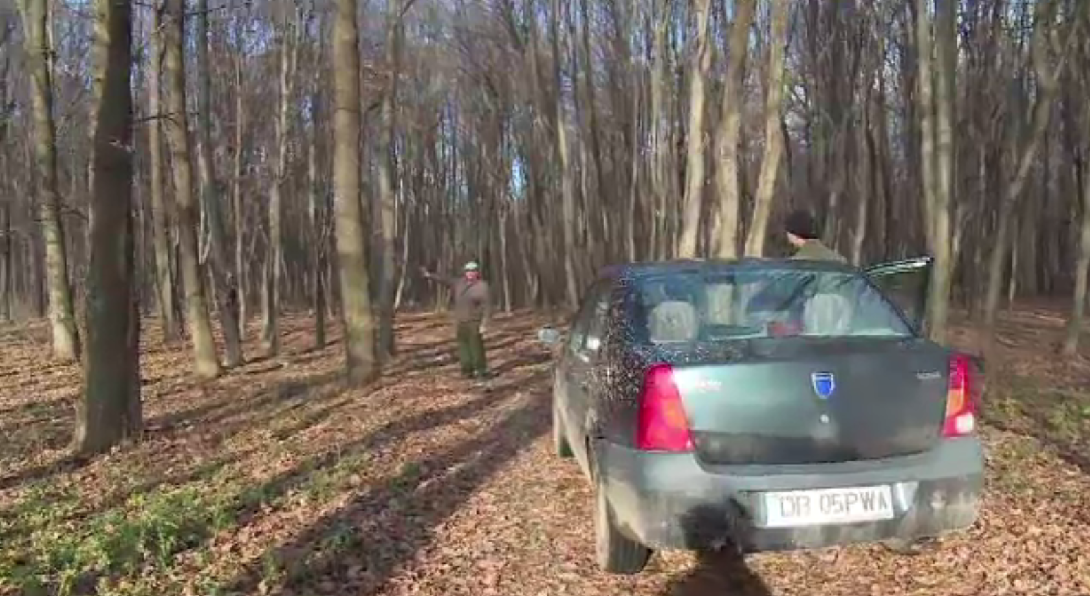 Pădurari din Dâmbovița, bătuți de doi indivizi prinși la furat de lemne