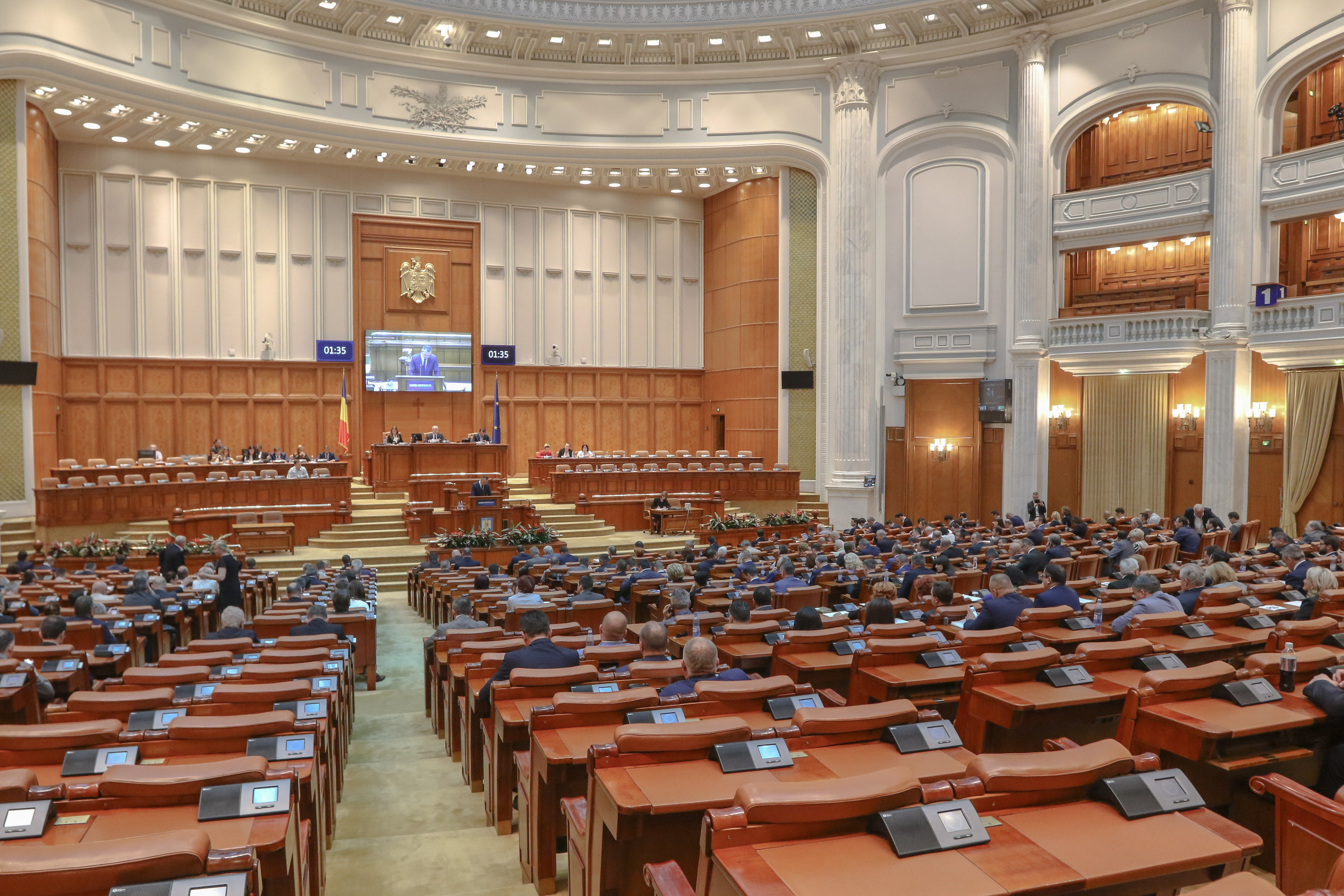 Cererea USR de a o invita pe Dăncilă la ”ora prim-ministrului” a fost respinsă