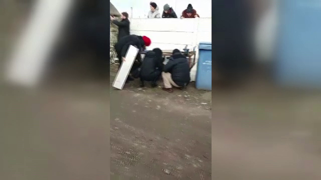 Un bărbat din Delta Dunării a ucis 9 câini, opt dintre ei fiind pui. Ar putea ajunge după gratii