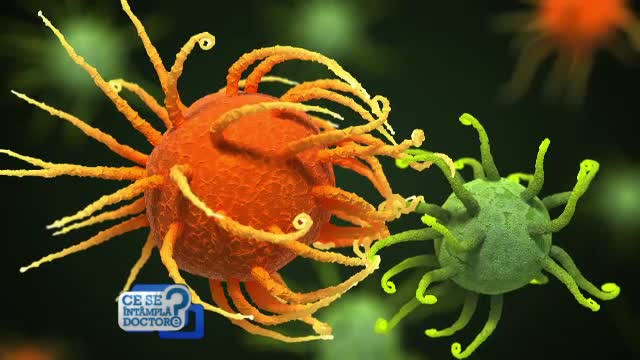 Medicii români au creat celule manipulate genetic, care luptă cu cancerul