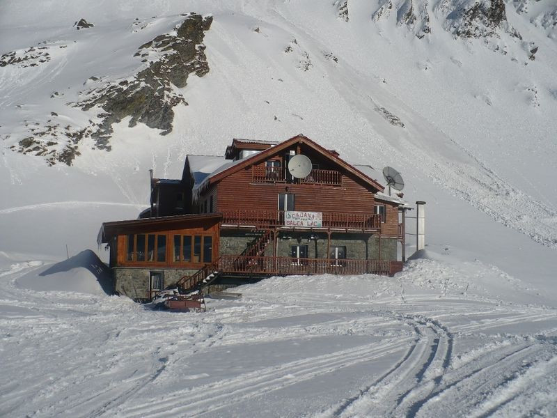 Vreme rea în toată ţara. Copaci căzuţi şi trenuri blocate în urma ninsorilor abundente