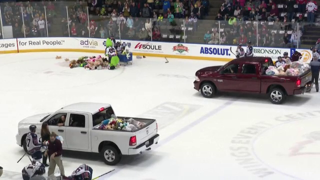 "Bombardament" cu ursuleți de pluș după un meci de hochei